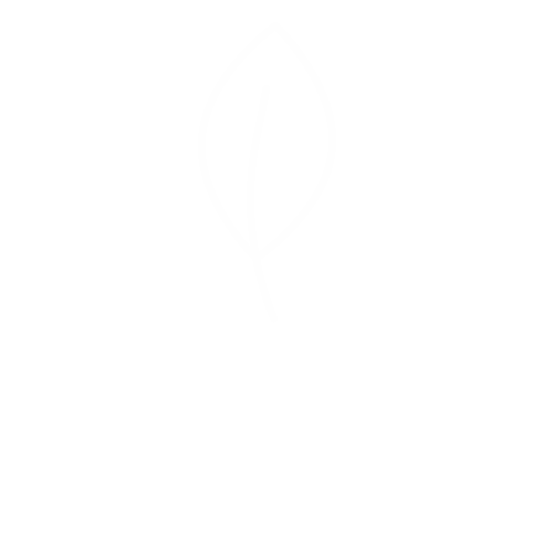 The Kanso Co